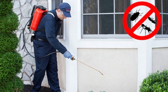 Simav Fare İlaçlama böcek ilaçlama ve haşere kontrolü — ilaclama-tr.com